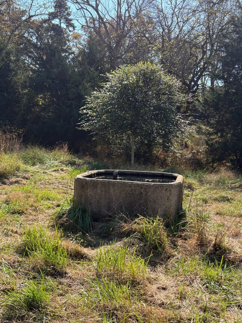 Concrete livestock watering trough