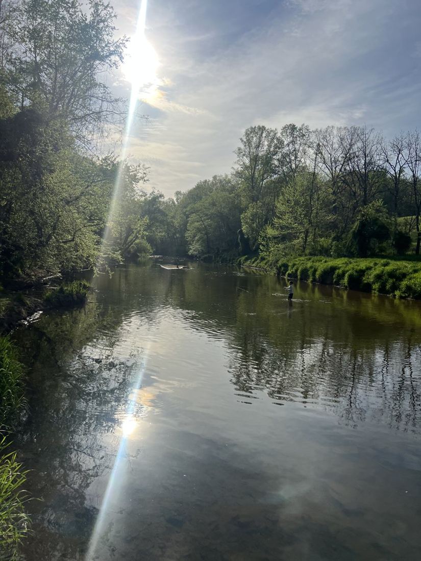Peaceful Moments Fly-Fishing on the Robinson River